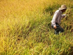 Thông tin về hội chợ Beautyworld Japan Fukuoka 2014